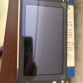 Nintendo Switch Lite グレー 本体