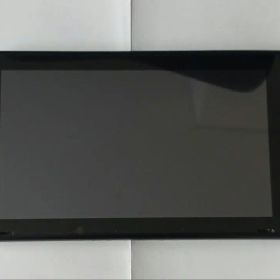 NintendoSwitch 未対策機 + 256sd