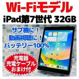 Wi-Fi iPad 第7世代 本体 32GB スペースグレイ 電池良好