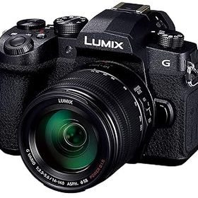 【中古】(非常に良い)パナソニック ミラーレス一眼カメラ ルミックス G99H 高倍率ズームレンズキット 2030万画素 ブラック DC-G99H-K