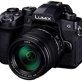 【中古】 パナソニック ミラーレス一眼カメラ ルミックス G99H 高倍率ズームレンズキット 2030万画素 ブラック DC-G99H-K