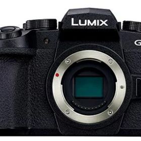 【中古】 パナソニック ミラーレス一眼カメラ ルミックス G99 ボディ 2030万画素 ブラック DC-G99-K