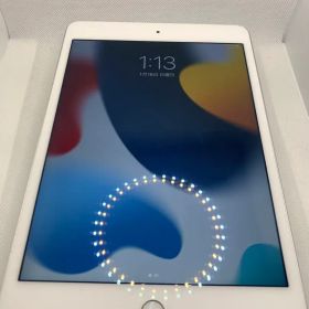 iPad mini 第4世代 ②