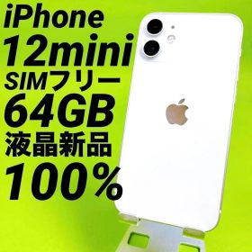 119⭐️iPhone12mini SIMフリー64GB 本体100% 液晶新品