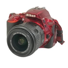 Nikon D5500 レンズキット 18-55mm F3.5-5.6G VR デジタル 一眼 カメラ 写真 中古 訳有 T10822455