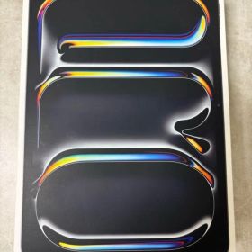 亀*井様 Apple iPad Pro 11インチ M4 スペースグレー