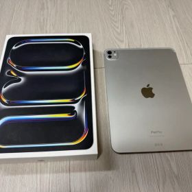 iPad Pro M4 シルバー 11インチ Wi-Fi 2TB ナノテク