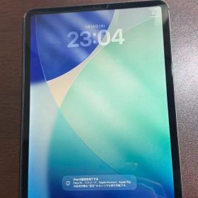 ipad pro 11インチ 256g スペースグレイ Cellular