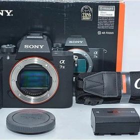 663★美品・ショット数29431回★SONY(ソニー) フルサイズ ミラーレス一眼カメラ α7III ボディ ブラック ILCE-7M3