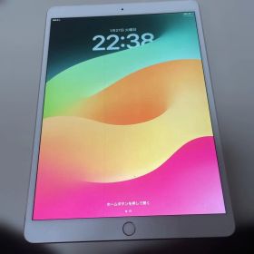 ヴ*い様 iPad Pro 10.5インチ 64GB バッテリー94%