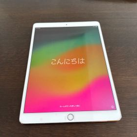 iPad Pro 10.5インチ Cellularモデル (docomo)