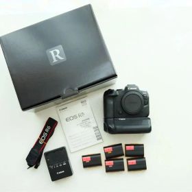 Canon EOS R6 ミラーレス一眼 本体