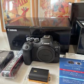 Canon EOS R6MarkII ミラーレス一眼