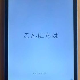 Apple iPad mini 第1世代 16GB A1432 ブラック