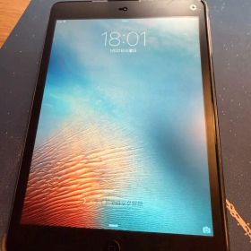 Apple iPad mini 本体