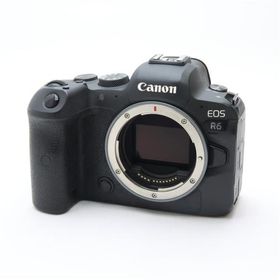 《並品》Canon EOS R6