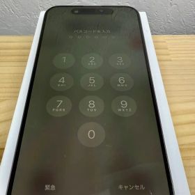Apple iPhone 15 Pro Max 256GB SIMフリー