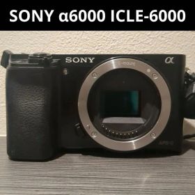 美品 SONY α6000 ILCE-6000 ミラーレス一眼 ボディ