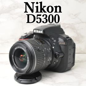 Nikon D5300⭐️Wi-Fi スマホ転送 一眼レフカメラ 高画質 ニコン