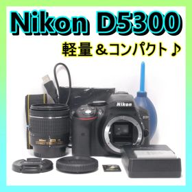 ⭐️スマホ転送OK＆高画質⭐️Nikon D5300 ニコン デジタル一眼レフ
