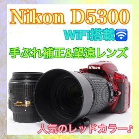 すぐ使える◆Nikon D5300◆一眼レフカメラ◆WiFi楽々転送◆人気カラー