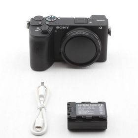 ソニー(SONY)のSONY ソニー α6600 ボディ ILCE-6600(デジタル一眼)