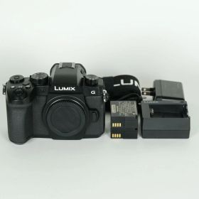 [良品 | シャッター数19,897回｜バッテリー2個付] Panasonic LUMIX DC-G99D ボディ ブラック | マイクロフォーサーズマウント