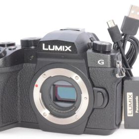 Panasonic パナソニック G99 ボディ ブラック DC-G99-K