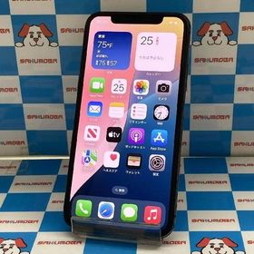 iPhoneXS docomo版SIMフリー 256GB MTE02J/A A2098 美品