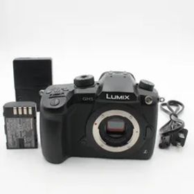 ショット数9339 【極美品】 Panasonic パナソニック Lumix G DC-GH5 ボディ ルミックス 98012