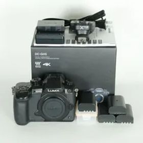[良品 | シャッター数48,870回｜別売付属品多数] Panasonic LUMIX DC-GH5 | マイクロフォーサーズマウント