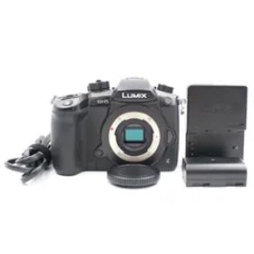 ■シャッター数12187枚！極上品■ PANASONIC GH5S ボディ ブラック DC-GH5S-K ミラーレス一眼カメラ パナソニック