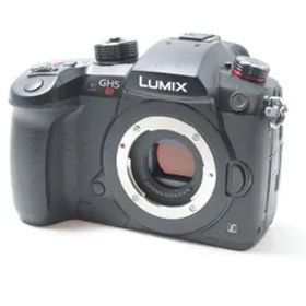 パナソニック Panasonic DC-GH5S ボディ