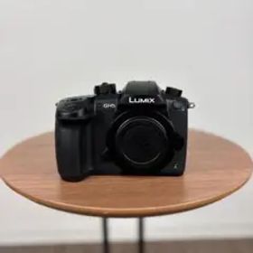 Panasonic LUMIX GH5ボディ DC-GH5②
