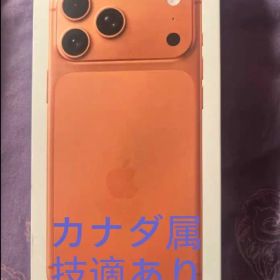 Apple iPhone 17 Pro Max Orange 256GB CA属