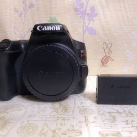 Canon EOS Kiss X10 ボディのみ デジタルカメラ一眼レフ