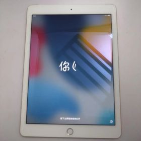 Apple iPad Air2 MH1C2J/A ROM:16GB 動作中古
