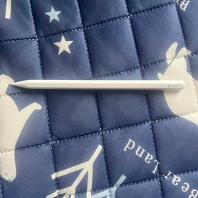 アップル(Apple)のApple Pencil 第2世代(その他)