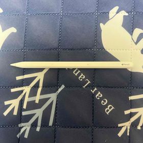 アップル(Apple)のApple Pencil 第2世代(その他)