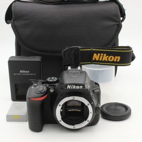 ニコン(Nikon)のショット数4787 【極美品】 Nikon ニコン D5500 ボディ(デジタル一眼)