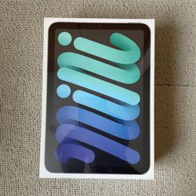 Apple iPad mini6 本体 WiFiモデル 欧米版