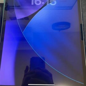 iPad Pro 12.9インチ 第3世代 256GB WiFiモデル