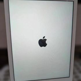 Apple iPad 第5世代(2017) A1823 128GB