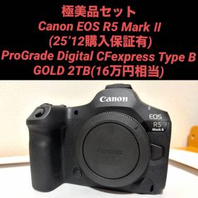極美品保証有Canon EOSR5 MarkII＋ProGrade 2TBセット