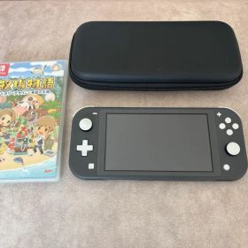 NintendoSwitchLiteグレー 牧場物語オリーブタウンと希望の大地