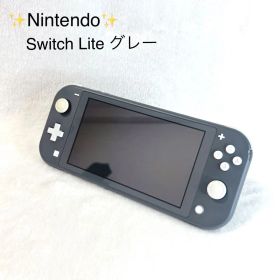 Nintendo Switch Lite グレー スイッチライト 本体