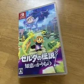 Switch ゼルダの伝説 知恵のかりもの