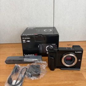 Panasonic LUMIX DC-GX7MK3 ミラーレスカメラ