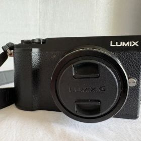Panasonic LUMIXG DC-GX7MK3 動作確認済み