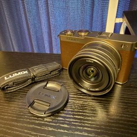 LUMIX DC-S9N-N 広角ズームレンズキット チタンゴールド オマケ付き